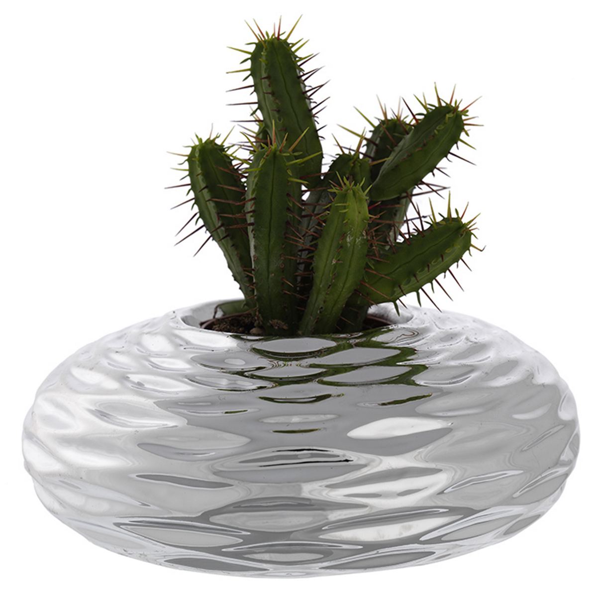 Porta-Vasos Cipolla com Planta | Prata Bilaminada 925 | Decoração Premium