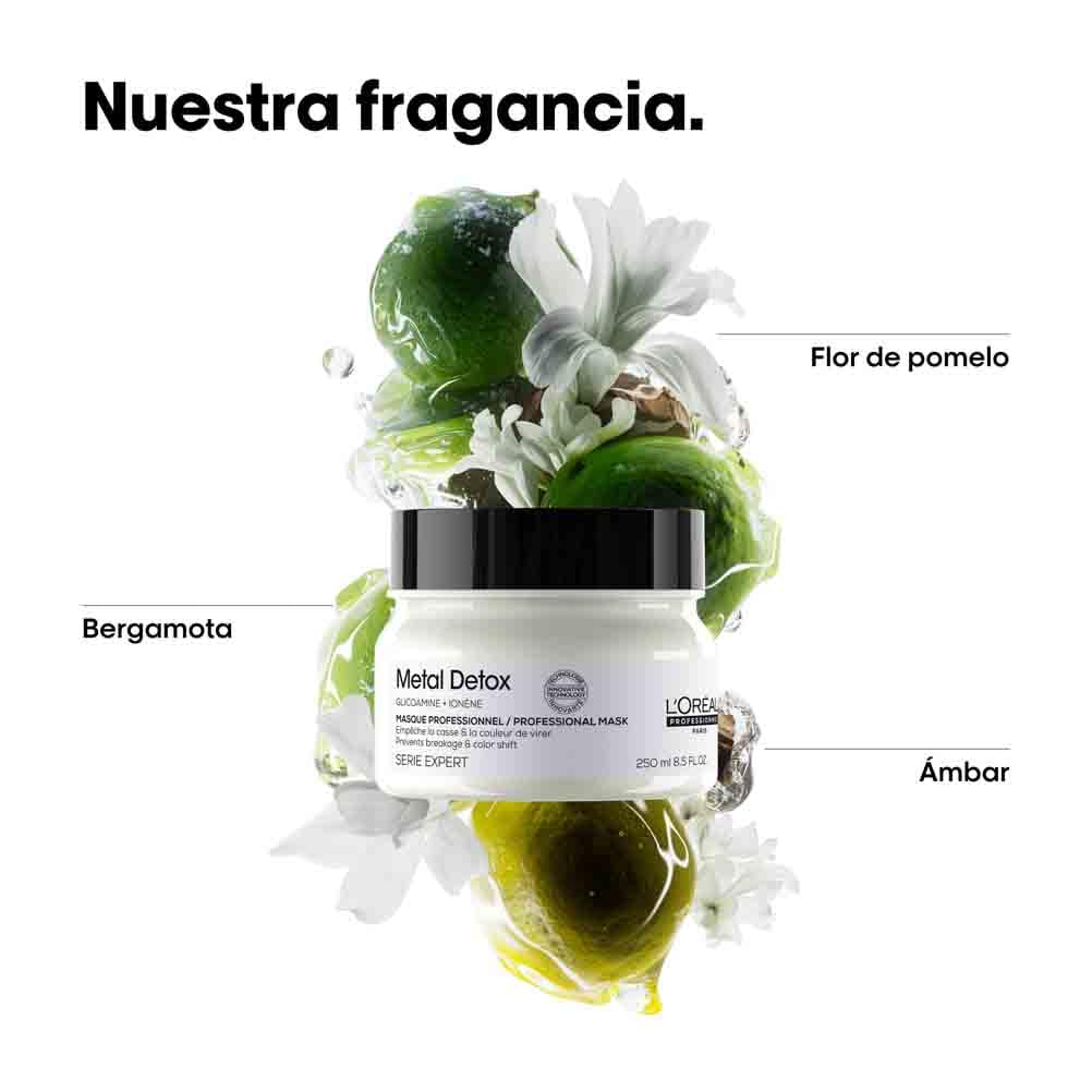 L'Oréal Professionnel, Máscara Protetora e Hidratante, para Cabelos Secos, Danificados ou Coloridos, Cor Mais Duradoura e Brilhante, para Cabelos Mais Fortes, Metal Detox, 250 ml