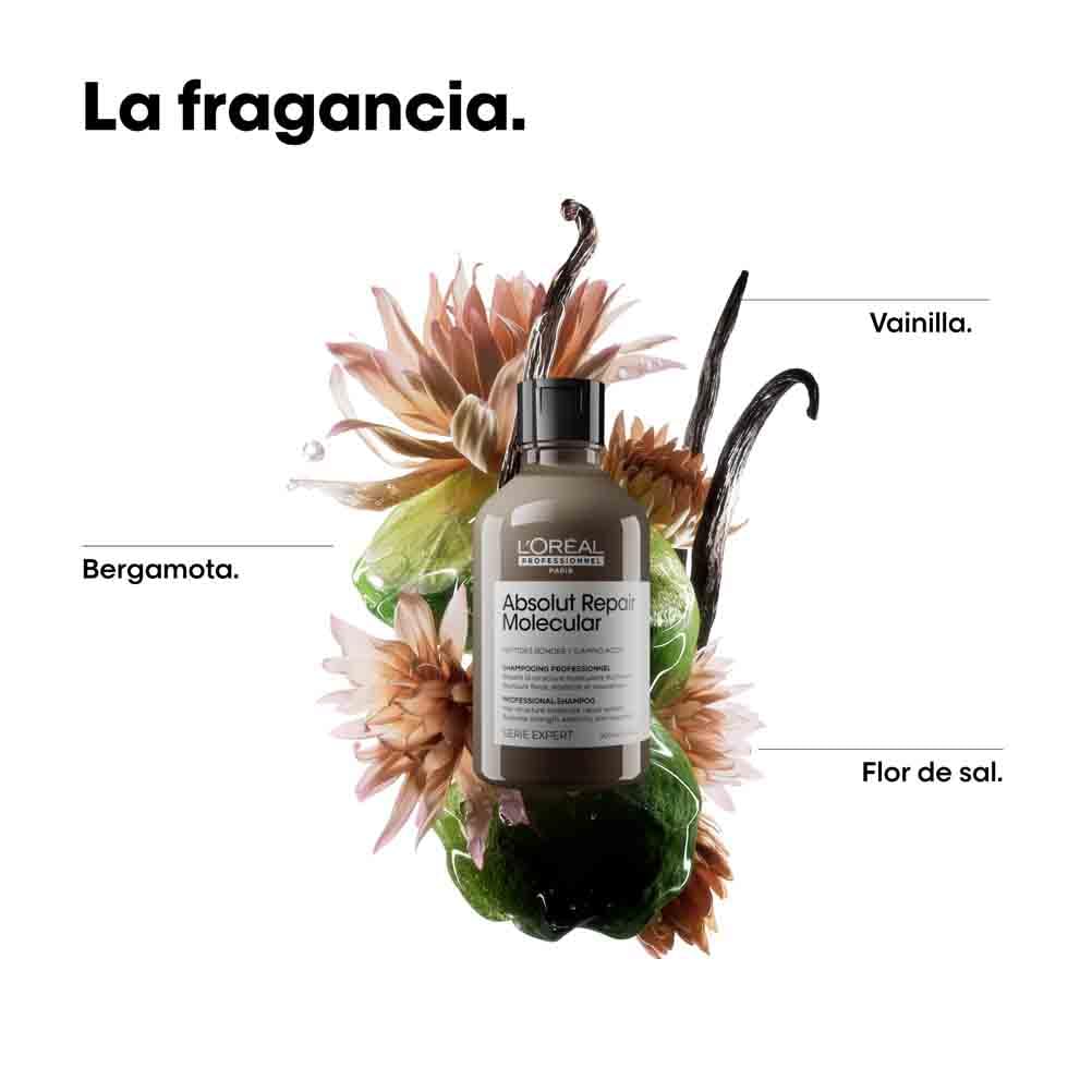 L'Oréal Professionnel, Shampoo Profissional Sem Sulfato, Nutre Profundamente, Repara Danos e Fortalece os Cabelos, Para Cabelos Secos e Danificados, Fórmula Patenteada, Absolut Molecular Repair, 300ml