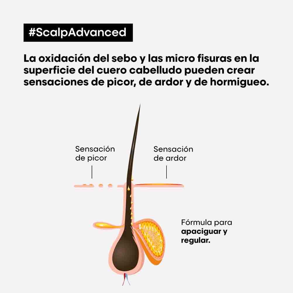 Shampoo L’Oréal Professionnel Enriquecido com Ingredientes Dermatologicamente Ativos para Cabelos Finos e Ralos, Serioxyl Advanced, 500 ml