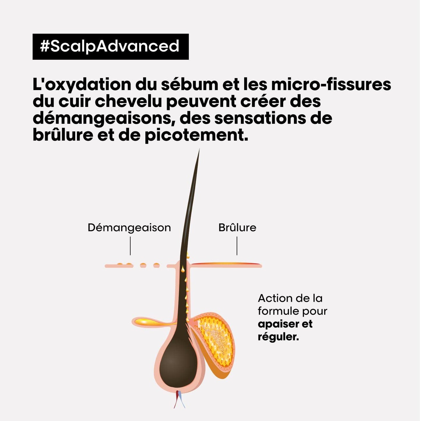 Shampoo L’Oréal Professionnel Enriquecido com Ingredientes Dermatologicamente Ativos para Cabelos Finos e Ralos, Serioxyl Advanced, 500 ml