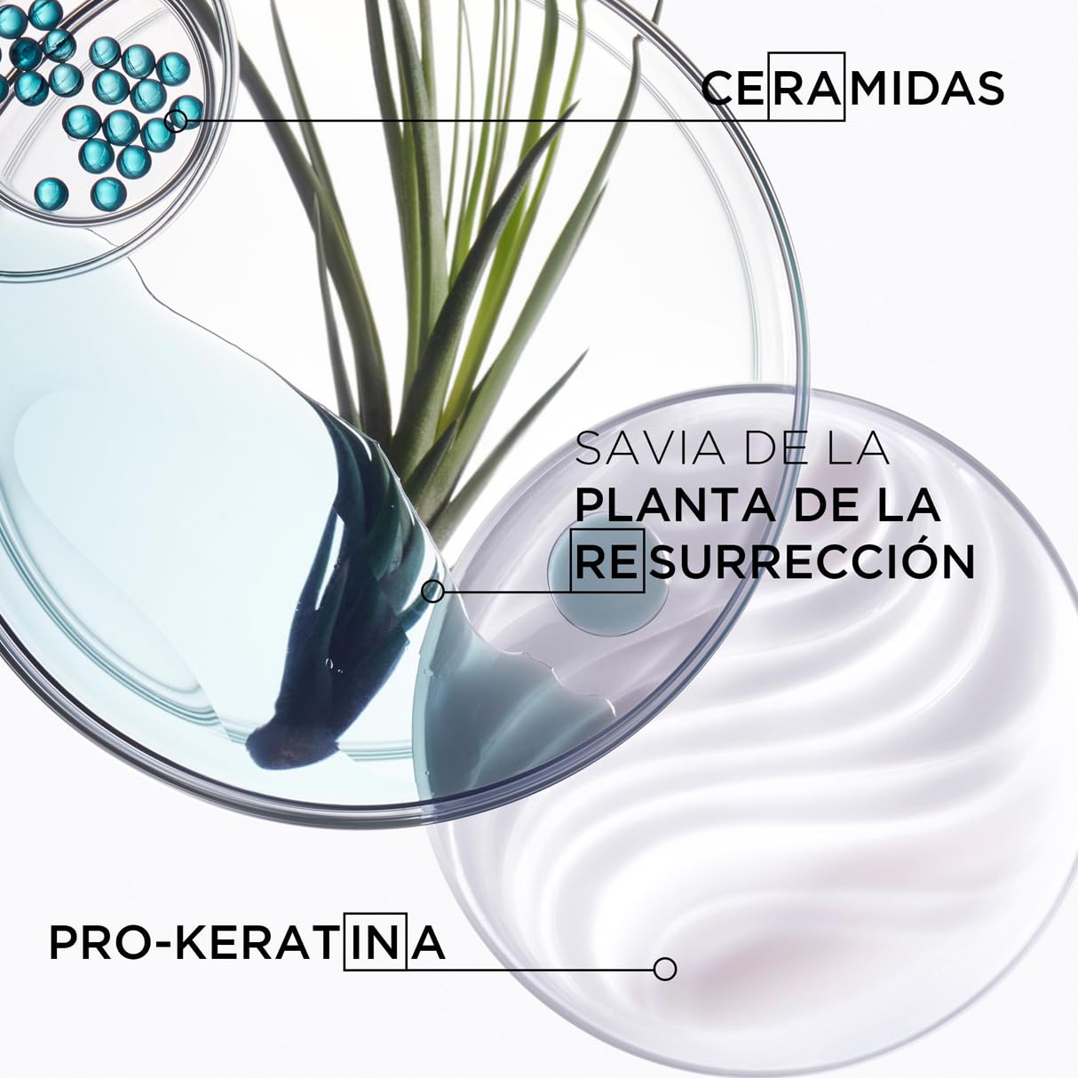 Kérastase Résistance Force Architecte, Rotina para cabelos danificados, Shampoo Reconstituinte e Condicionador Reparador
