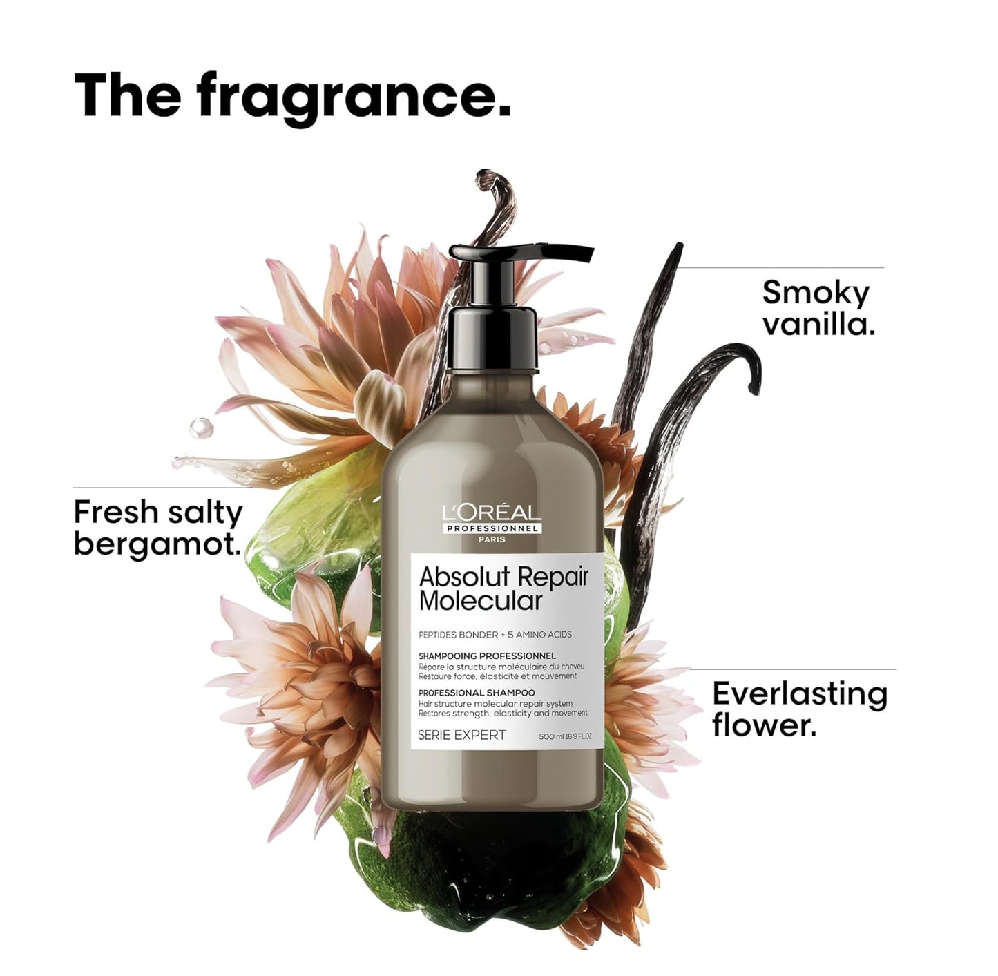 L'Oréal Professionnel, Shampoo Profissional Sem Sulfato, Nutre Profundamente, Repara Danos e Fortalece os Cabelos, para Cabelos Secos e Danificados, Fórmula Patenteada, Absolut Molecular Repair, Refil 500ml
