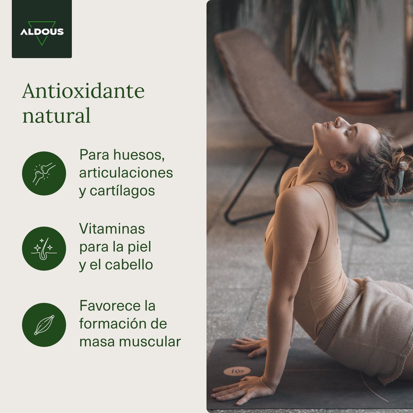 Colágeno + Ácido Hialurónico + Coenzima Q10 + Vitaminas y B12 + Zinc - 120 días