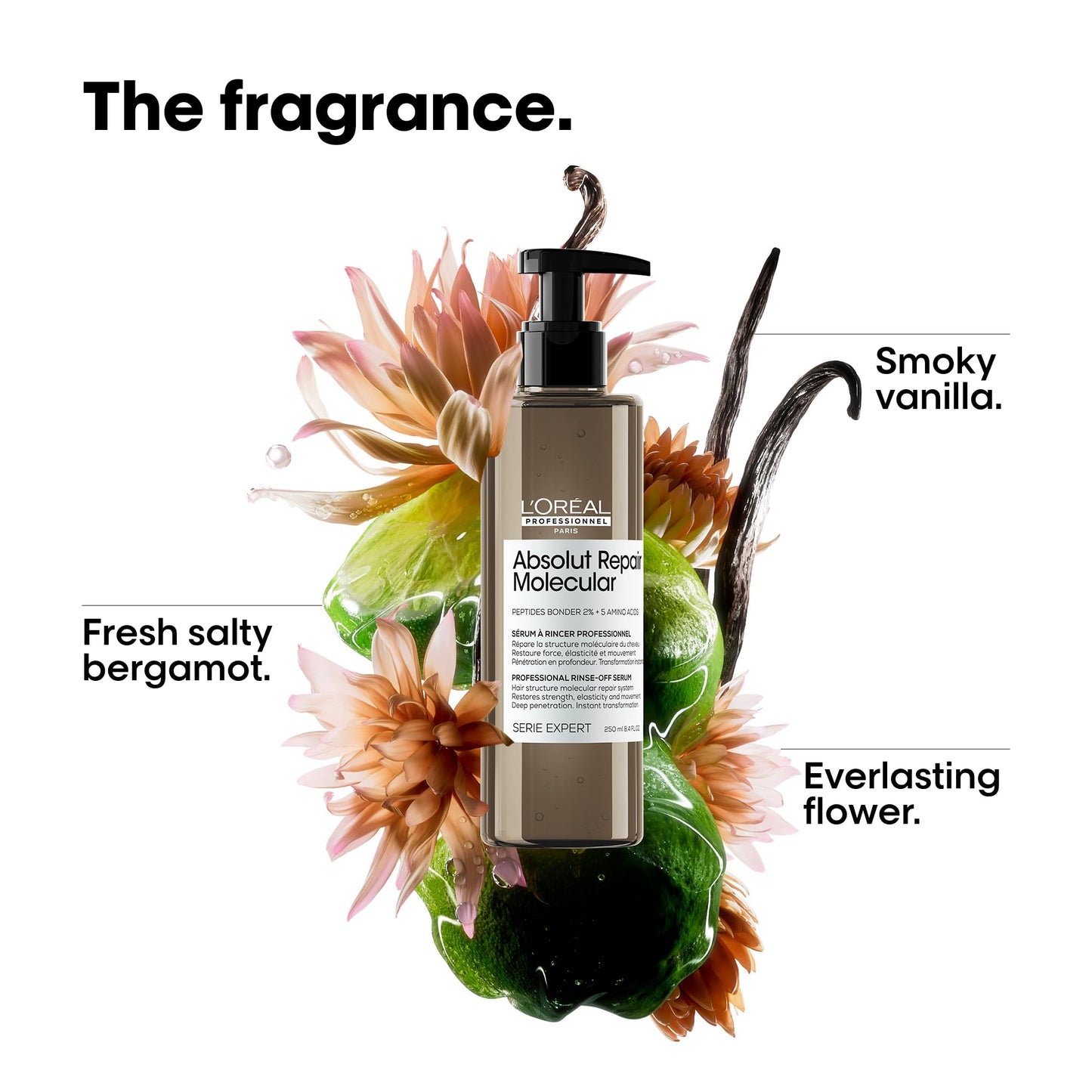 L’Oréal Professionnel, Tratamento Molecular Instantâneo, Sérum com Enxágue para Cabelos Secos e Danificados, Sem Sulfato, Repara Danos e Fortalece os Cabelos, Fórmula Patenteada, Absolut Repair Molecular, 250ml