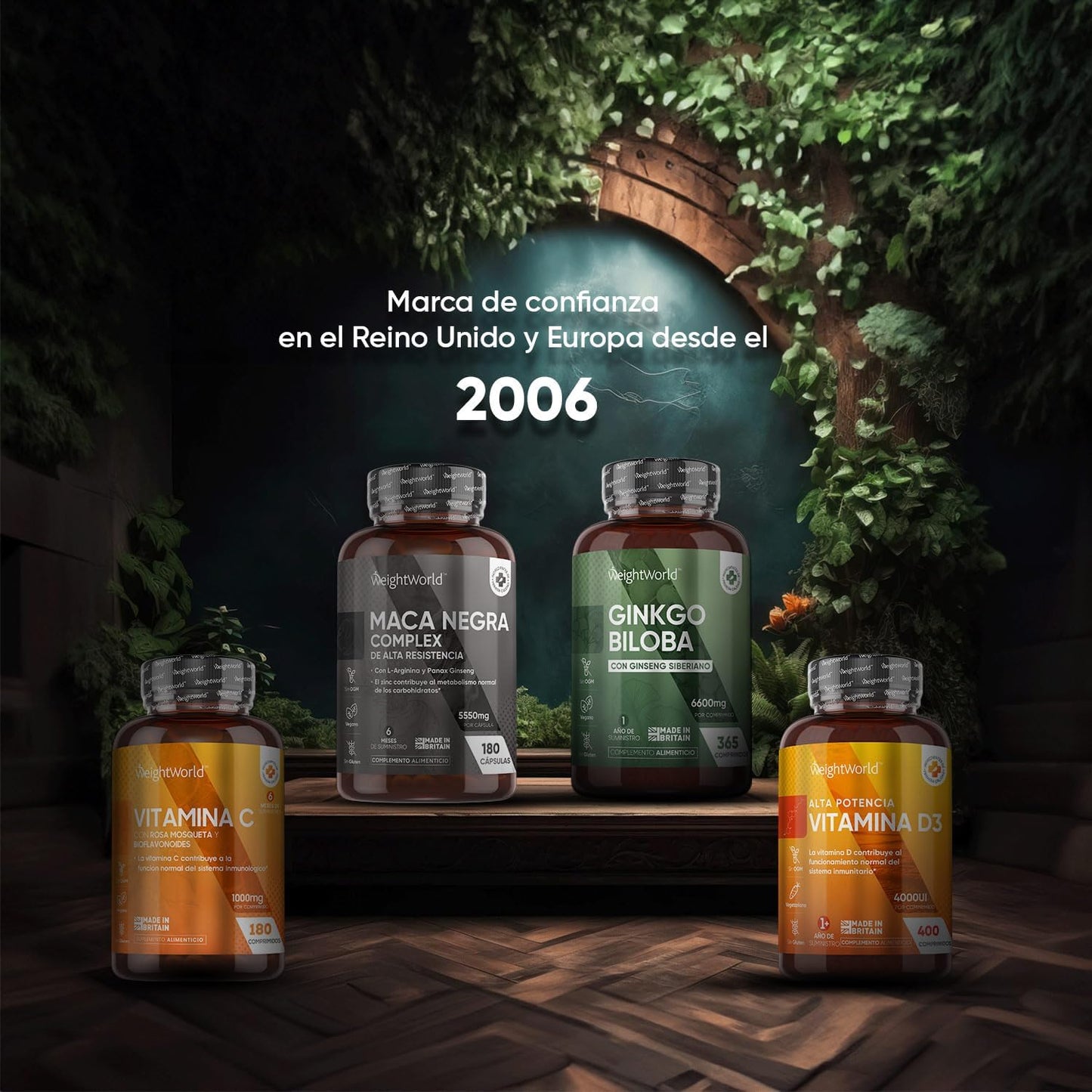 Vitamina K2 Vegana Alta Potência - 200µg