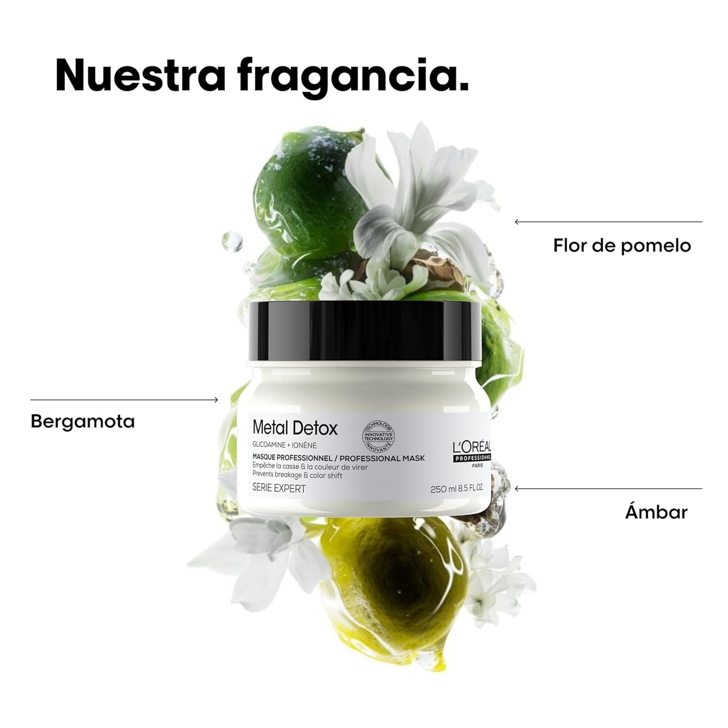 L'Oréal Professionnel, Máscara Protetora e Hidratante, para Cabelos Secos, Danificados ou Coloridos, Cor Mais Duradoura e Brilhante, para Cabelos Mais Fortes, Metal Detox, 250 ml