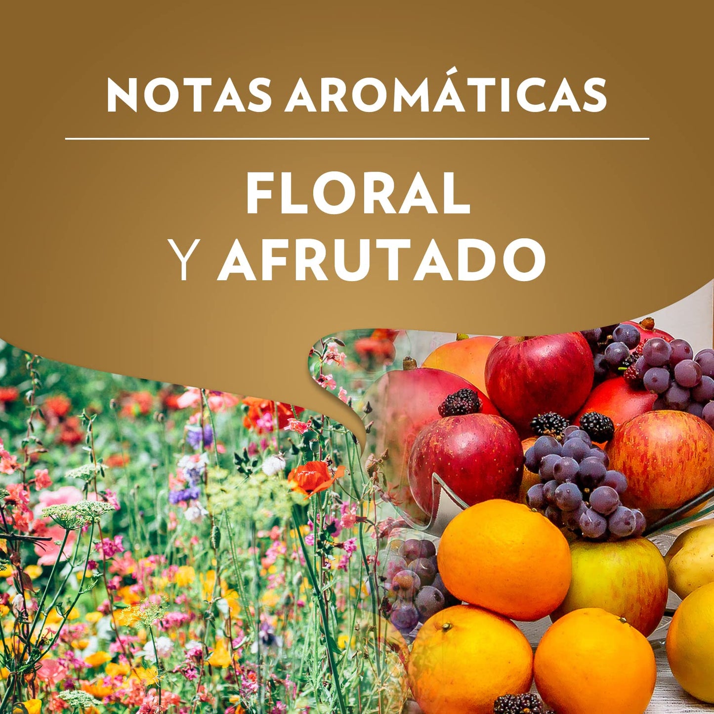 Café em grãos Lavazza Crema e Gusto Classico com notas aromáticas florais e frutadas, ideal para espresso