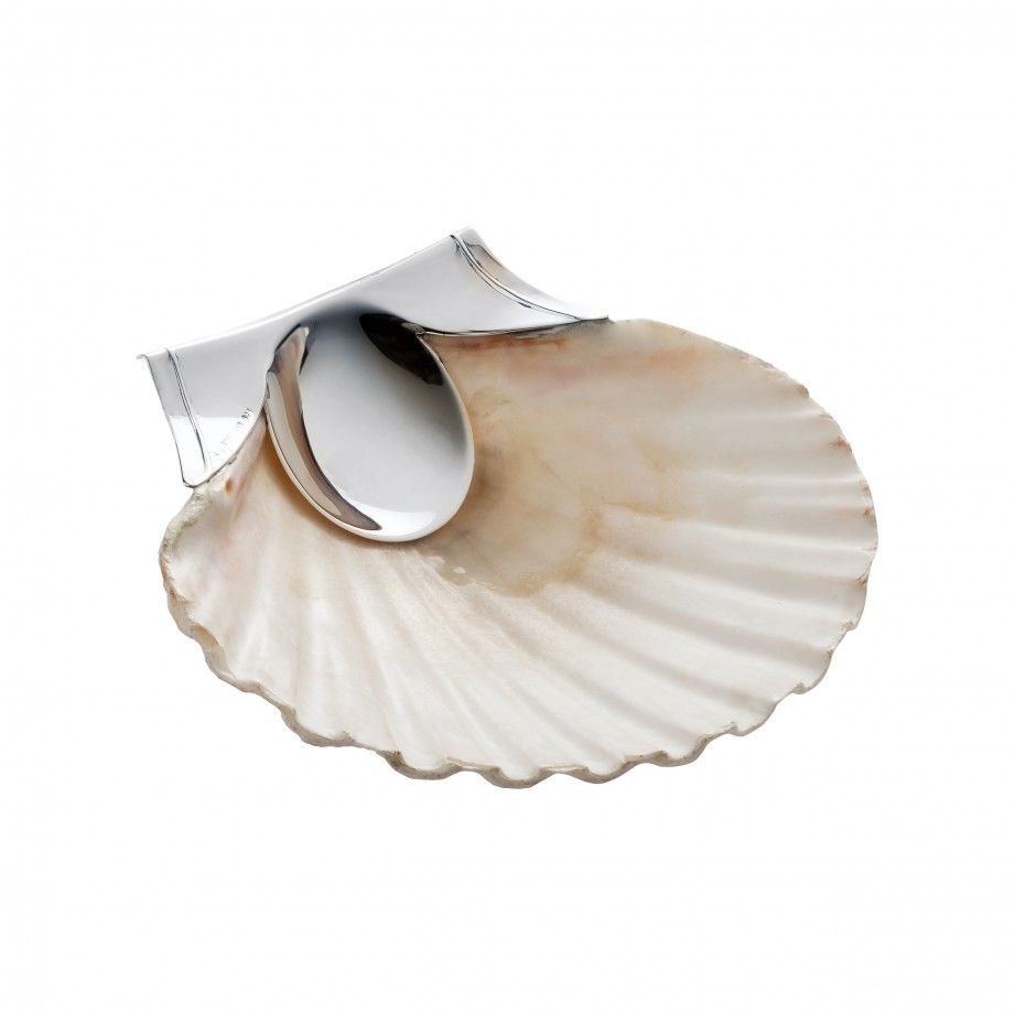 concha de batismo prata Topázio 1874 em concha natural com borda e bico em prata polida para batismo