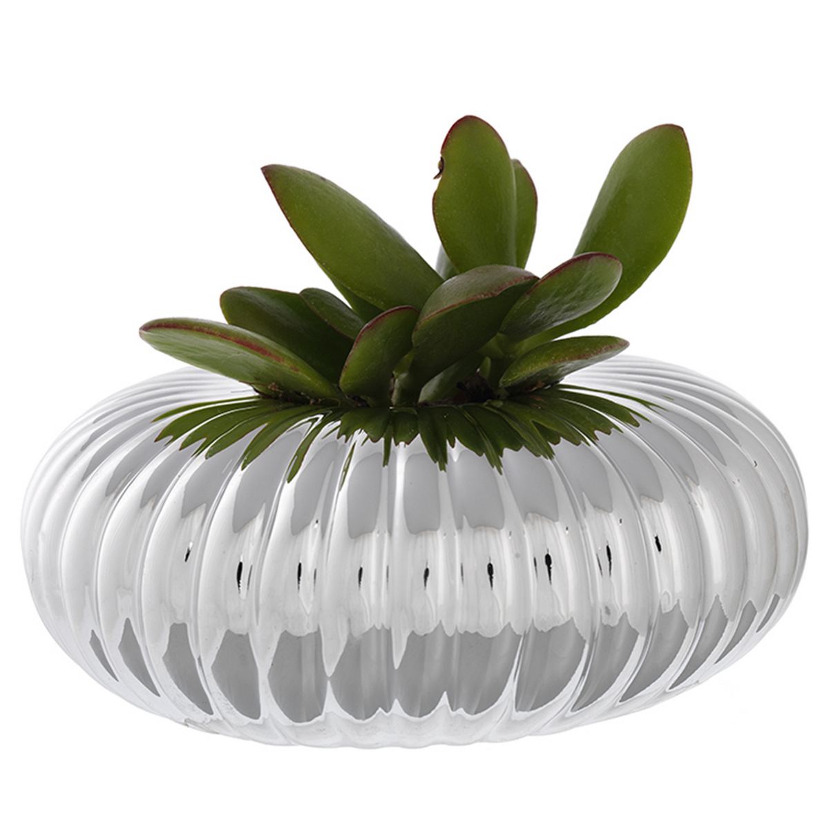 Decoração - Bilaminados de Prata 925