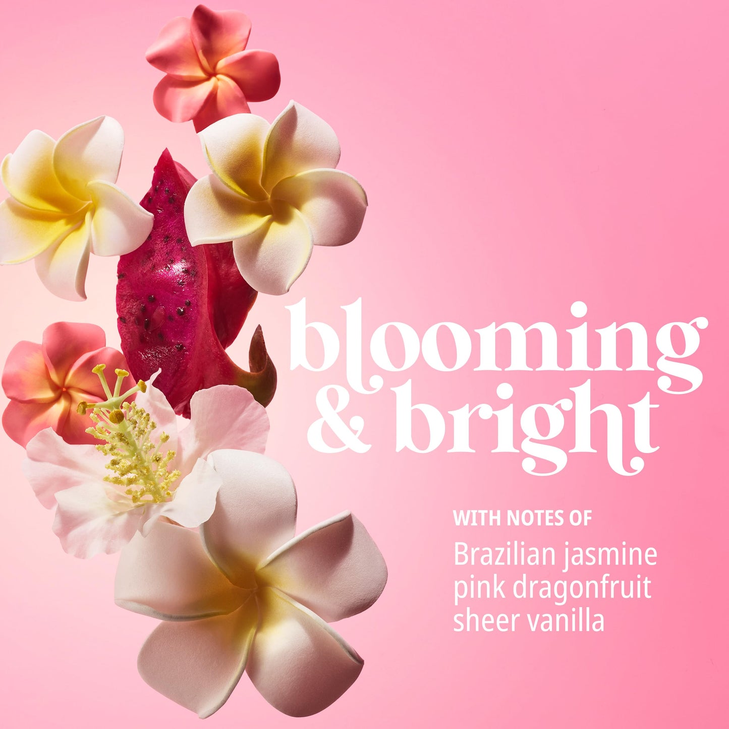 Creme Corporal Colagenio Beija Flor Sol de Janeiro - Beleza e Bem Estar