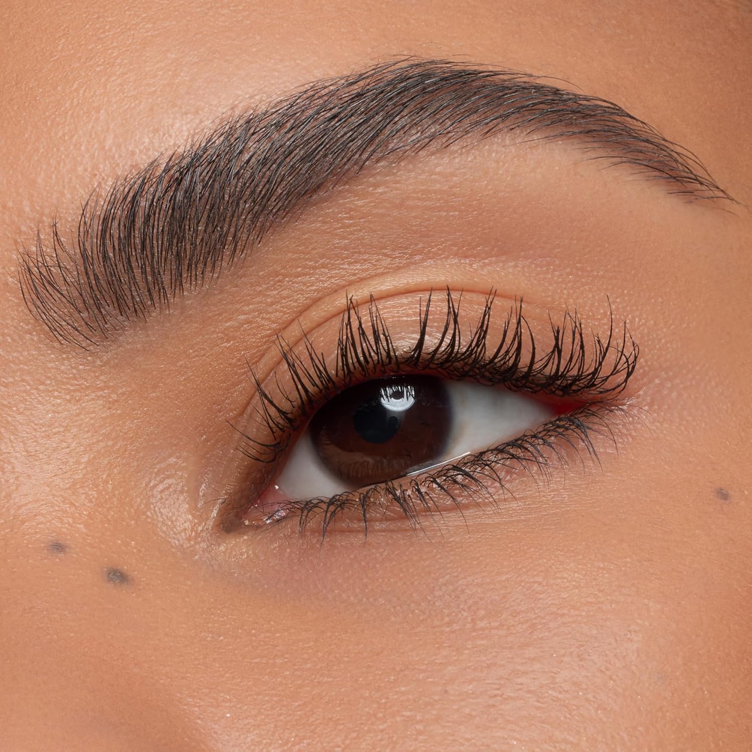 Detalhe de sobrancelhas bem definidas com o conjunto essence brow set online, maquiagem vegan e sem micropartículas.