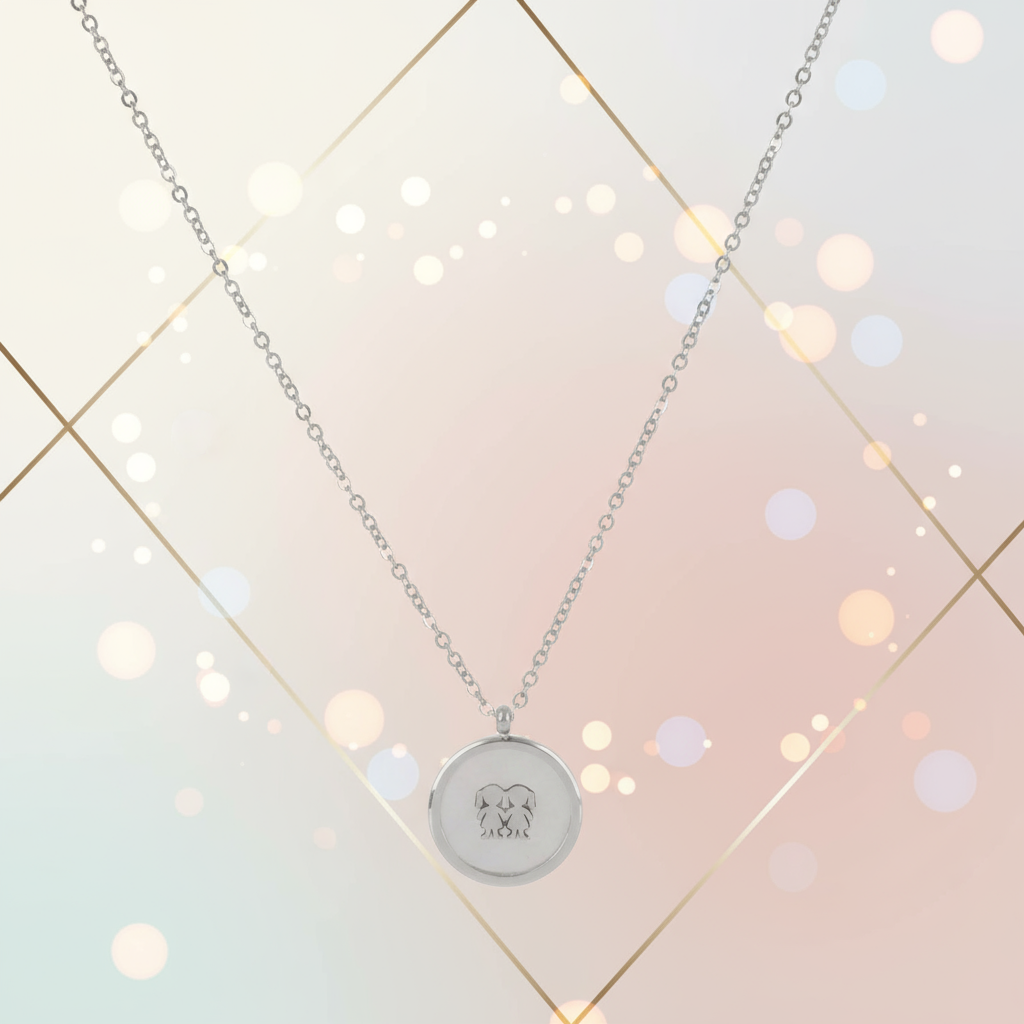 Banner Colar Aço Stellara