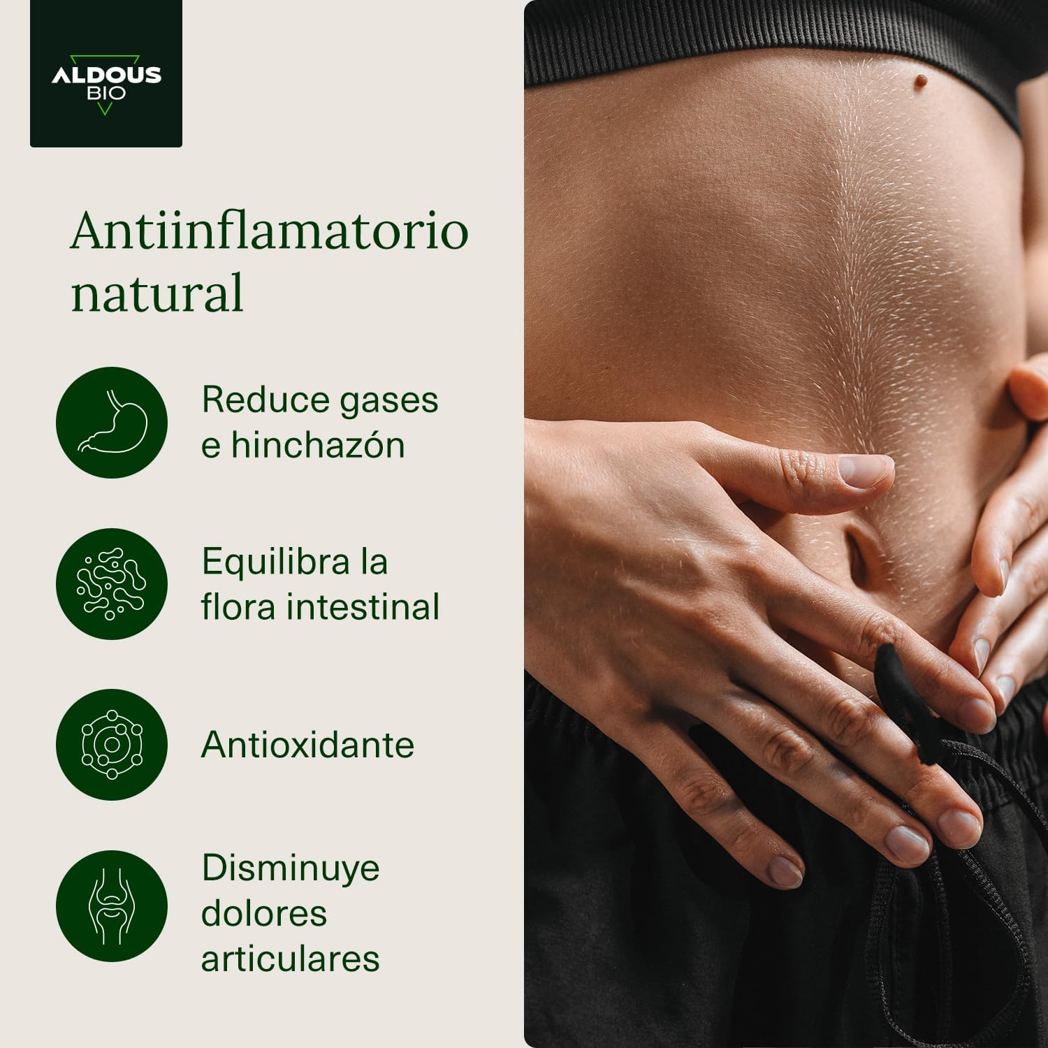Suplemento natural cúrcuma jengibre Aldous Labs em cápsulas, apoio anti-inflamatório e digestivo com ingredientes naturais.