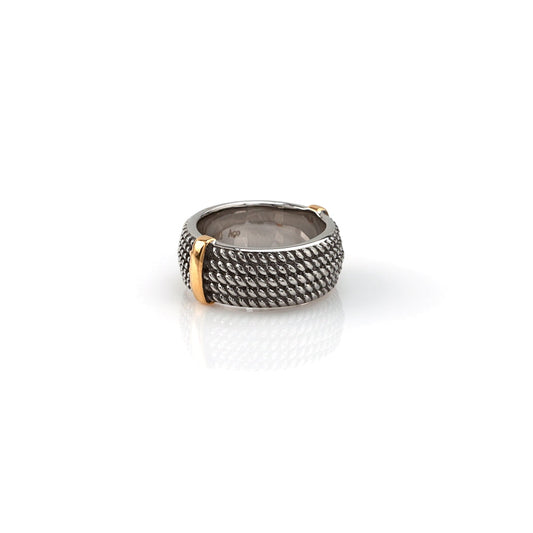 Anillo de Acero - Colores Plata y Oro
