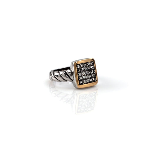 Anillo Acero - Plata y Oro Quadra