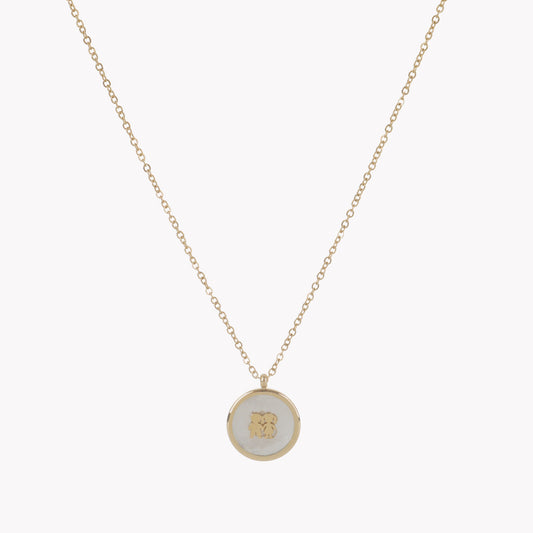 Collar de acero con nácar y pareja.